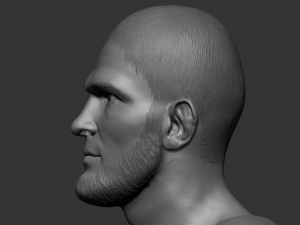 khabib nurmagomedov 3d print model 3Dプリントモデル
