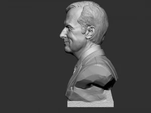 Bob Odenkirk 3D Print Model