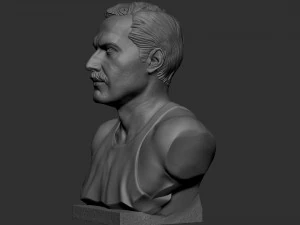 Freddie Mercury 3D Print Model