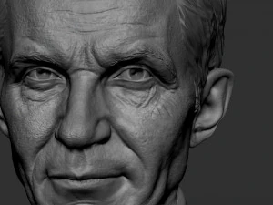 Henry 3D Print Model