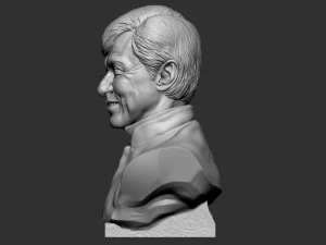 Jackie Chan 3D Print Model