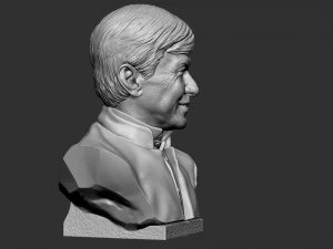 Jackie Chan 3D Print Model
