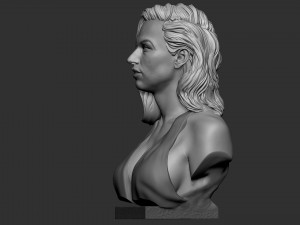 Lady Gaga 3D 打印模型