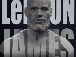 Lebron James 3D Print Model