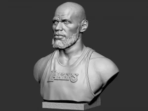 Lebron James 3D Print Model