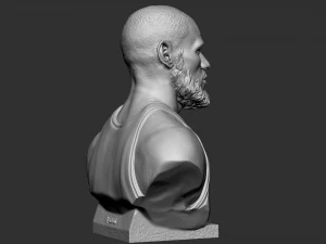 Lebron James 3D Print Model