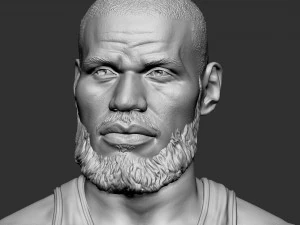 Lebron James 3D Print Model