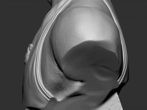 Lebron James 3D Print Model