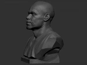 Floyd Mayweather 3D Print Model