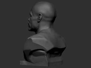Floyd Mayweather 3D Print Model
