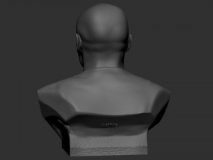 Floyd Mayweather 3D Print Model