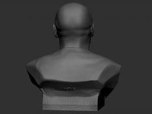 Floyd Mayweather 3D Print Model
