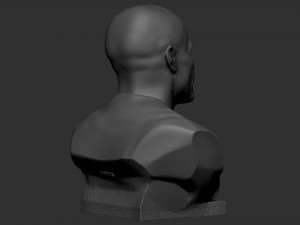 Floyd Mayweather 3D Print Model