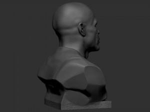 Floyd Mayweather 3D Print Model