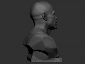 Floyd Mayweather 3D Print Model