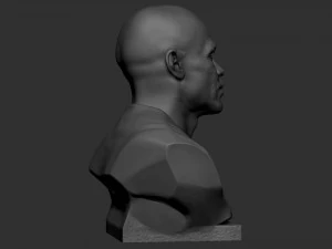 Floyd Mayweather 3D Print Model
