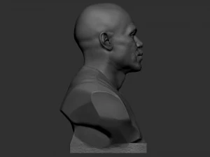 Floyd Mayweather 3D Print Model