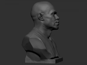 Floyd Mayweather 3D Print Model