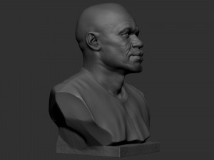 Floyd Mayweather 3D Print Model