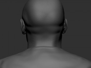 Floyd Mayweather 3D Print Model