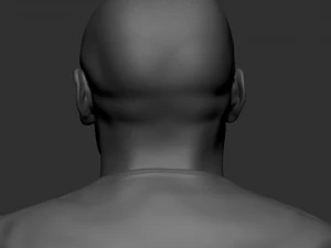 Floyd Mayweather 3D Print Model