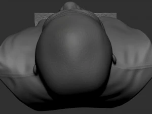 Floyd Mayweather 3D Print Model