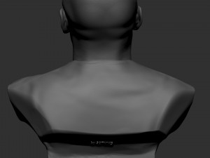 Floyd Mayweather 3D Print Model