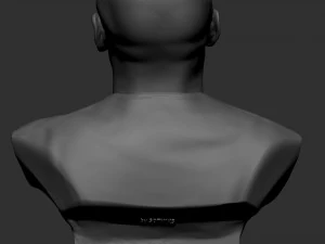 Floyd Mayweather 3D Print Model