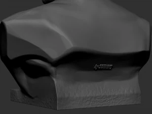Floyd Mayweather 3D Print Model