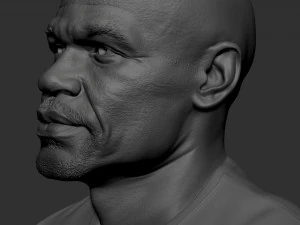 Floyd Mayweather 3D Print Model