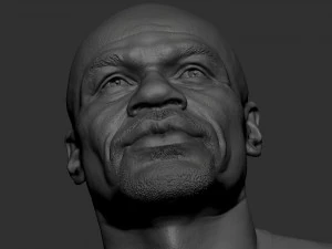 Floyd Mayweather 3D Print Model