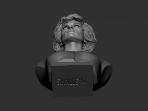Diana Princess of Wales 3D Print Model