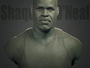 沙奎尔&middot;奥尼尔 3D 打印模型