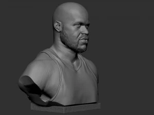 沙奎尔&middot;奥尼尔 3D 打印模型