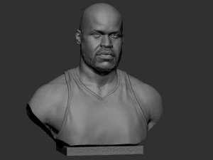 沙奎尔&middot;奥尼尔 3D 打印模型