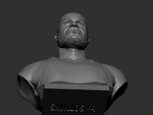 沙奎尔&middot;奥尼尔 3D 打印模型