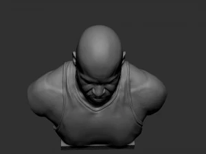 沙奎尔&middot;奥尼尔 3D 打印模型