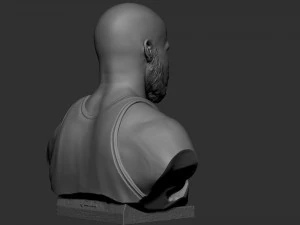 沙奎尔&middot;奥尼尔 3D 打印模型