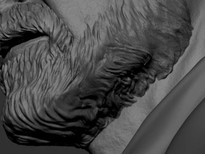 Sigmund Freud 3D Baskı Modeli