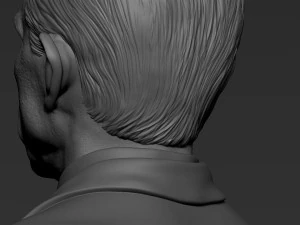 Daniel Craig 3D Print Model