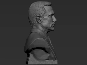 Daniel Craig 3D Print Model