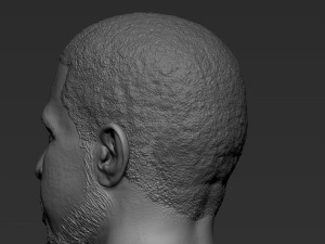 Drake Modelo de impresión 3D