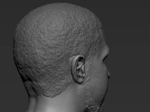 Drake 3D Print Model