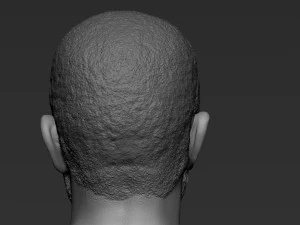 Drake 3D Print Model