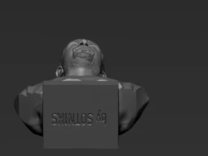 Drake 3D Print Model