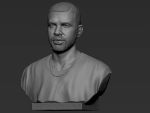 Drake 3D Print Model