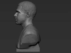Drake 3D Print Model