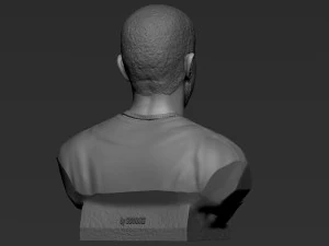 Drake 3D Print Model