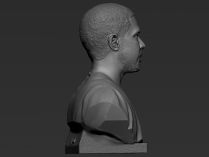 Drake Modelo de impresión 3D