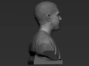 Drake 3D Print Model